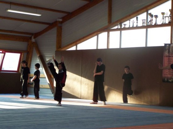 club de kung-fu de Grigny - école tigre et dragon