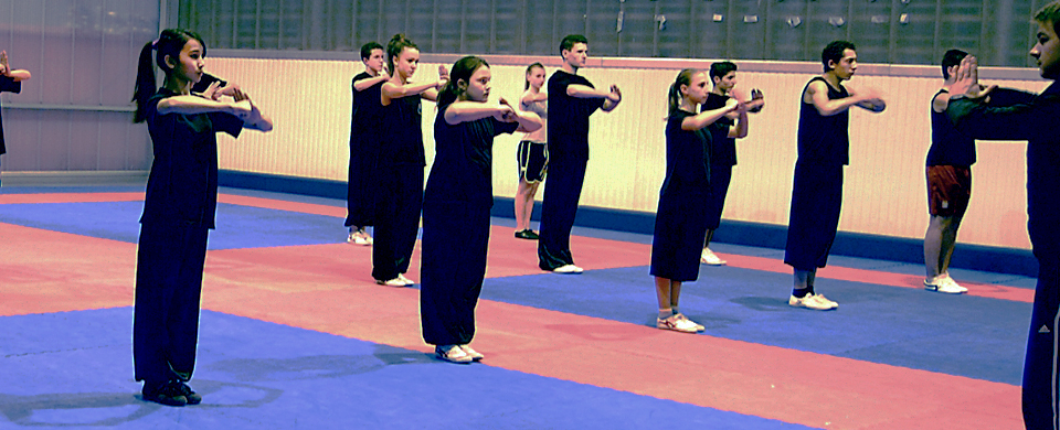cours de kung-fu wushu - école tigre et dragon