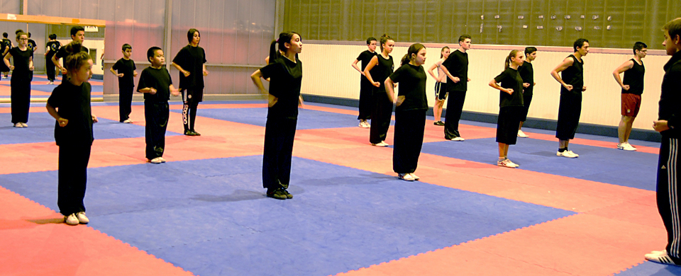 cours de kung-fu wushu - école tigre et dragon