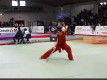 sélectif Tarrare championnat de France 2014 de kung-fu - école tigre et dragon