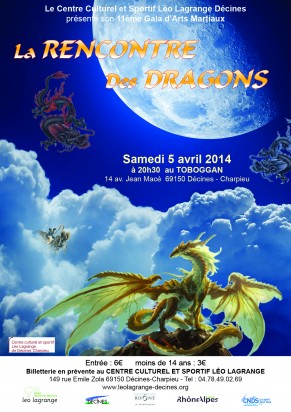 11ème gala d'arts martiaux de Decines - école tigre et dragon Givors Grigny Lyon sud