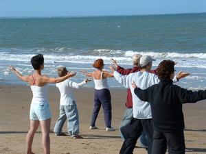 Stages tai-chi qi gong yoga - bulletin José Diaz - ecole tigre et dragon Givors Grigny lyon sud