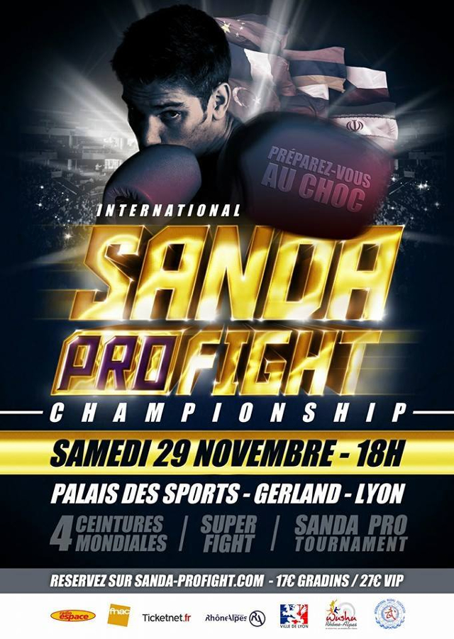 Affiche Sanda Pro Fight - Tigre et dragon - Givors Grigny Lyon sud - site