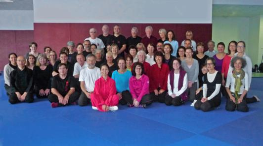 stage zhang xiao yan - samedi 31 janvier 2015 - Dojo Berthelot - tai-chi kung-fu - école tigre et dragon - Givors Grigny Lyon Sud