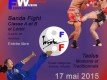 affiche Sanda Taolu mai 2015 - kung-fu tai-chi - Givors Grigny Lyon sud