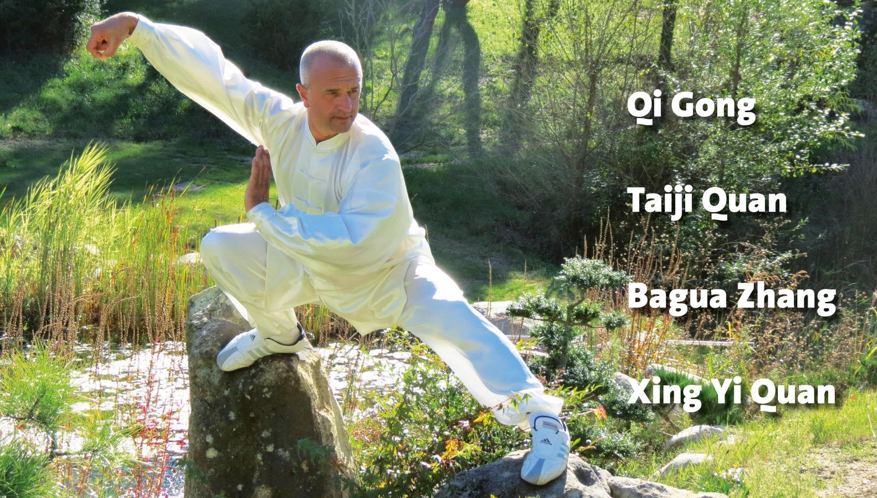 Thierry ALIBERT - stage - école tigre et dragon - kung-fu -tai-chi - givors grigny lyon sud