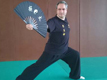 José DIAZ - école tigre et dragon - givors grigny lyon sud - tai-chi kung-fu